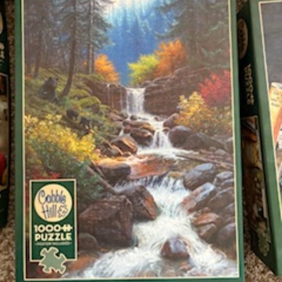 Puzzles - Cobble Hill 1000 Piece  (6 Puzzles) - Picture 6 of 6